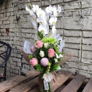 Çift Dallı Zengin Aranjmanlı Orkide